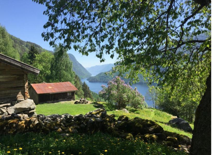 Dalen I Telemark Holiday Home With Garden Buitenkant foto